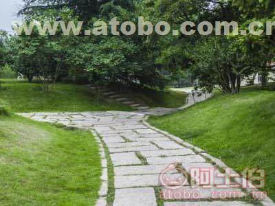 優質景觀園林綠化工程施工公司探尋指南